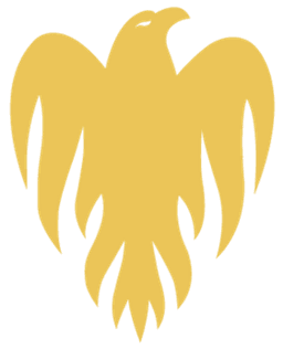 Wellington Firebirds